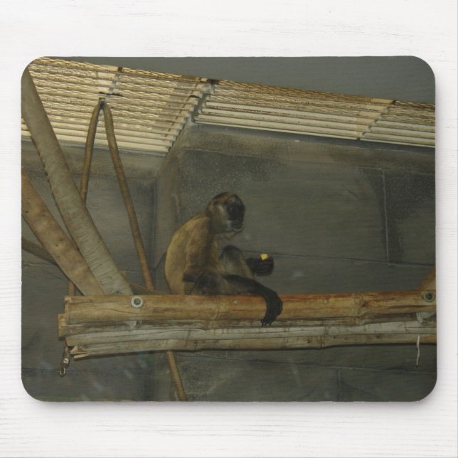 monkey mouse pad (Front)