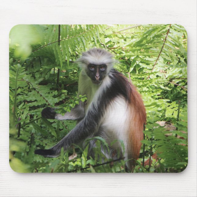 Monkey Mouse Pad (Front)