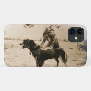 Monkey on the Back of a Dog Named Chiquito iPhone 11 Case