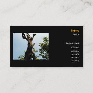 Monkey on the tree, zoo business card