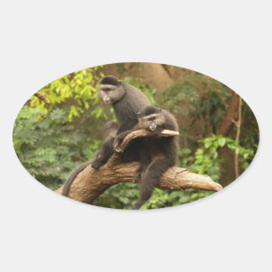 Monkey  Oval Sticker