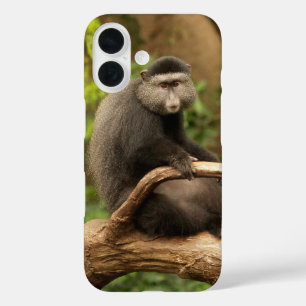 Monkey phone Case