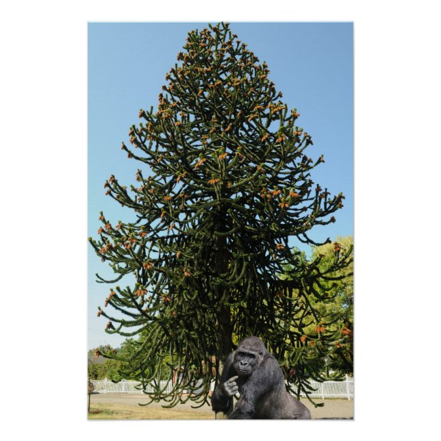 Monkey Puzzle. Poster (Front)