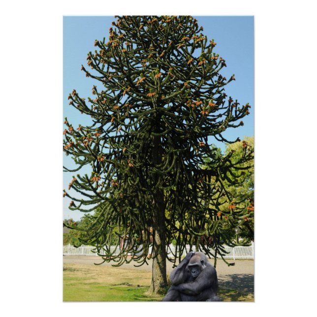 Monkey Puzzle. Poster (Front)