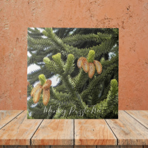 Monkey Puzzle Tree Botanical Tile