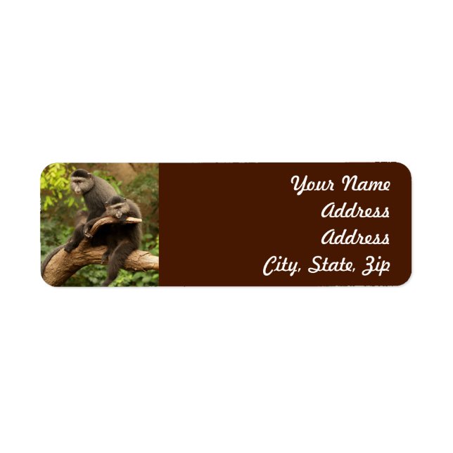 Monkey  Return Address Sticker (Front)