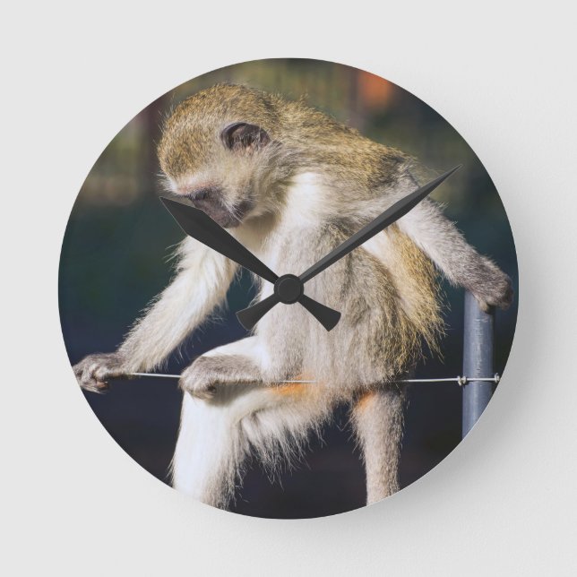 Monkey Round Clock (Front)