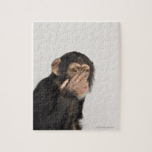 Monkey rubbing its face jigsaw puzzle