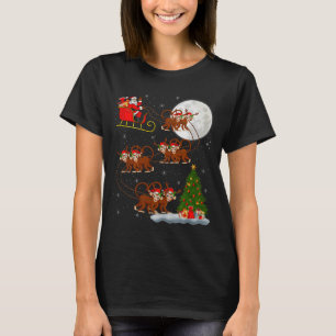 Monkey Santa Sleigh Flying Funny Magical Christmas T-Shirt