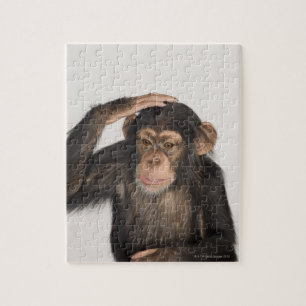 Monkey scratching its head jigsaw puzzle