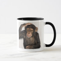Monkey scratching its head