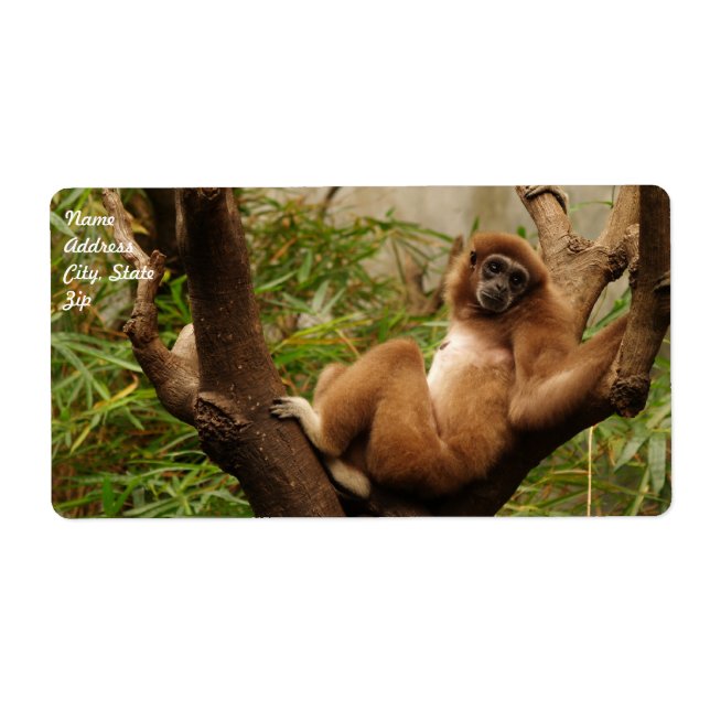 Monkey  Shipping Label (Front)