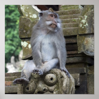 Monkey sitting at a statue in Bali Poster