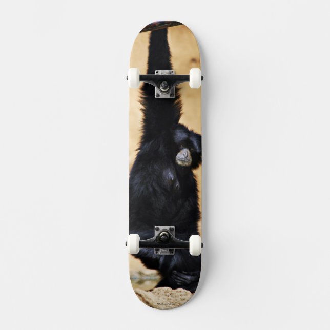 Monkey Skateboard (Front)
