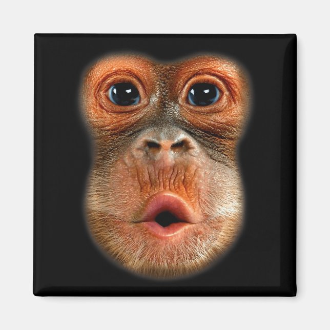 Monkey Stomach Funny Meme Cool Viral Video  Magnet (Front)