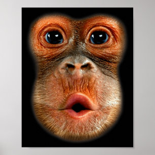 Monkey Stomach Funny Meme Cool Viral Video  Poster