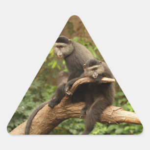 Monkey Triangle Sticker