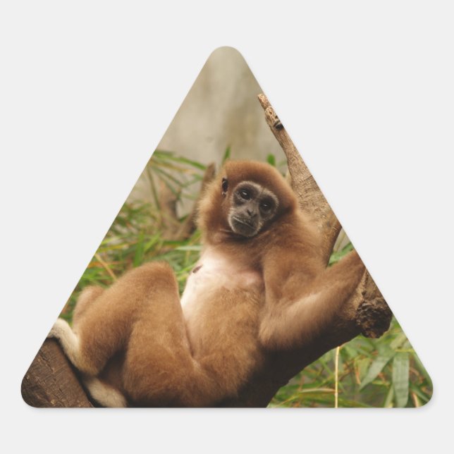 Monkey Triangle Sticker (Front)