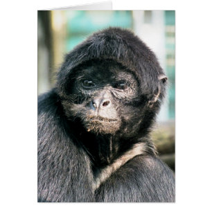 MONKEYCard À ÉPAISSEUR NOIRE CUTE