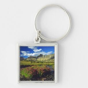 Monkeyflowers at Logan Pass in Glacier National Keychain