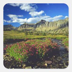 Monkeyflowers at Logan Pass in Glacier National Square Sticker