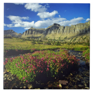 Monkeyflowers at Logan Pass in Glacier National Tile