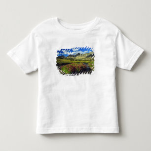 Monkeyflowers at Logan Pass in Glacier National Toddler T-shirt