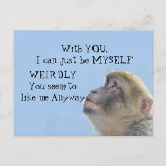 Monkeying Around Greeting Postcard
