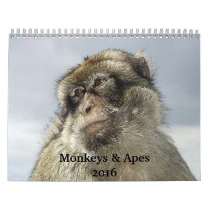 Monkeys and Apes 2016 Calendar