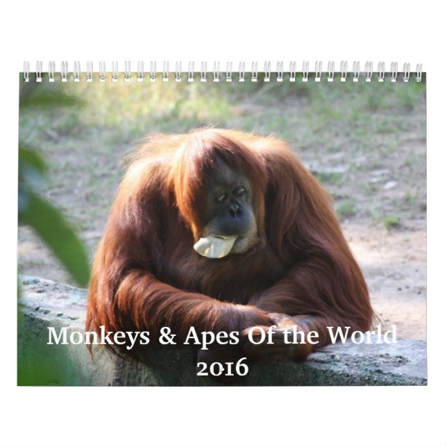 Monkeys and Apes of the World 2016 Calendar (Cover)