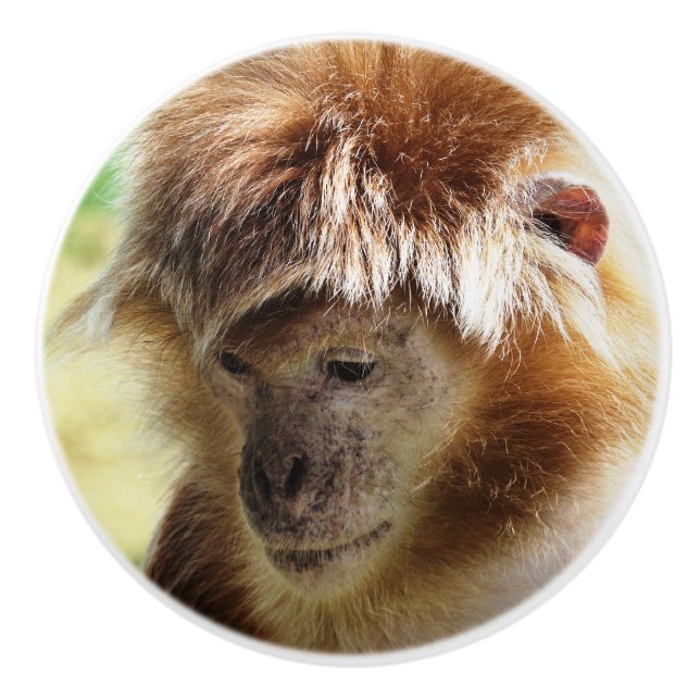 MONKEYS CERAMIC KNOB (Front)