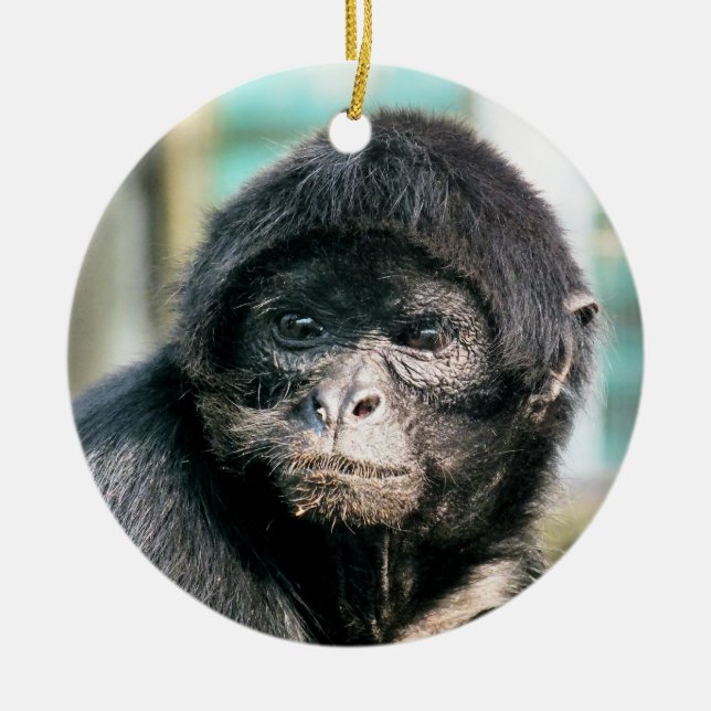 MONKEYS CERAMIC ORNAMENT (Front)