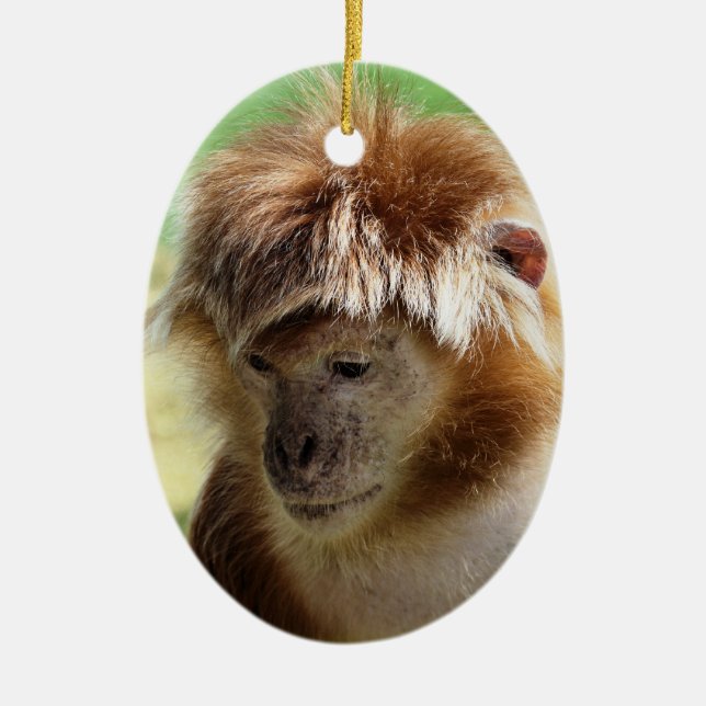 MONKEYS CERAMIC ORNAMENT (Front)