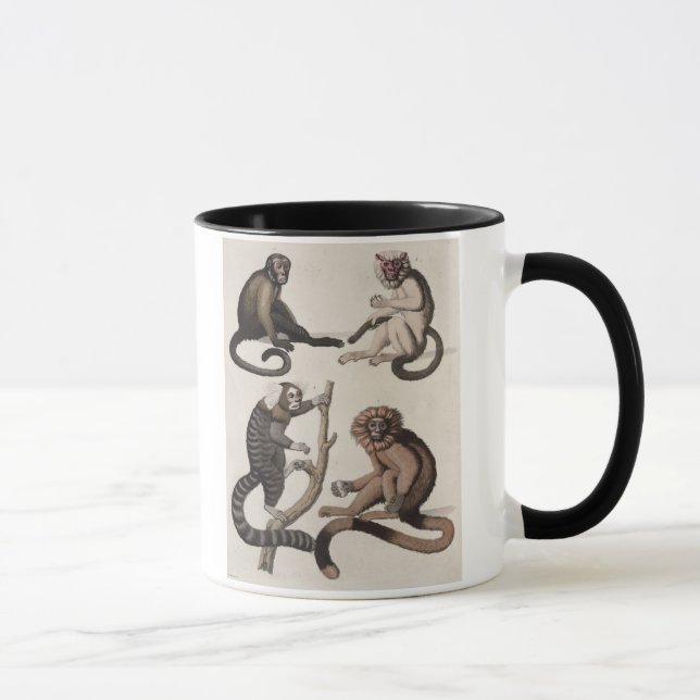 Monkeys (colour litho) mug (Right)