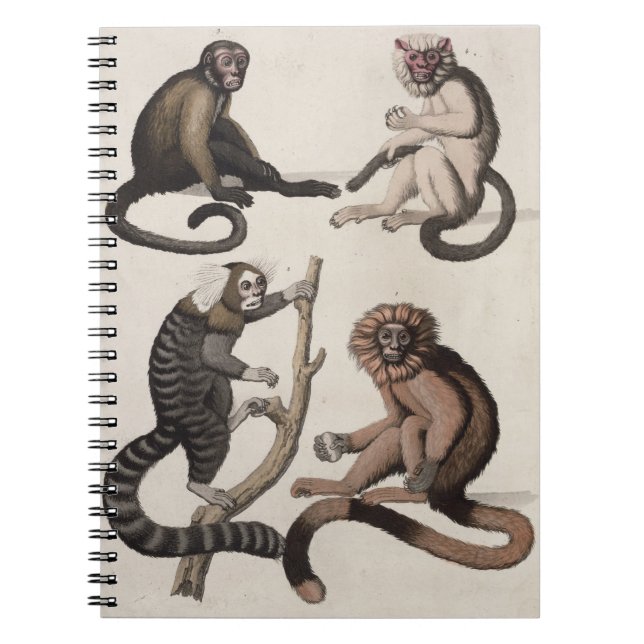 Monkeys (colour litho) notebook (Front)