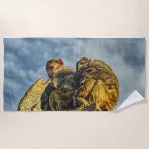 monkeys cuddling  beach towel