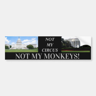 MONKEYS D.C Bumper Sticker