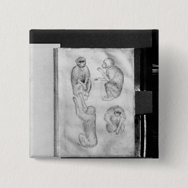 Monkeys, from The Vallardi Album 2 Inch Square Button (Front)