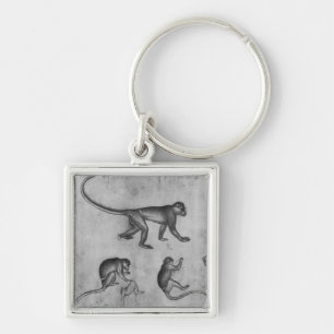 Monkeys, from The Vallardi Album Keychain