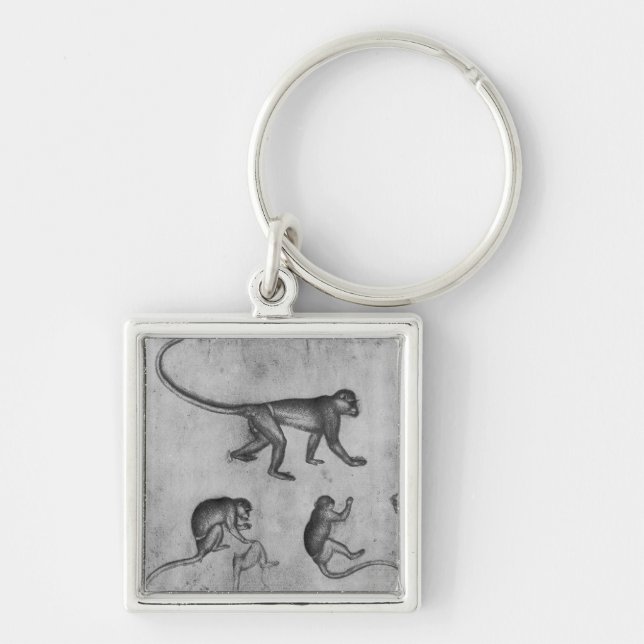 Monkeys, from The Vallardi Album Keychain (Front)