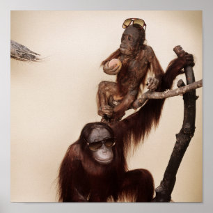 Monkeys in a tree poster