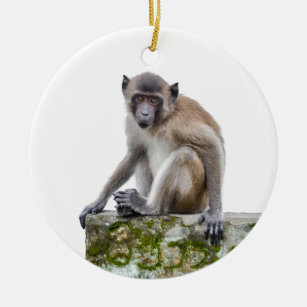 monkeys in the jungle ceramic ornament