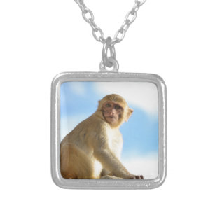 monkeys in the jungle silver plated necklace