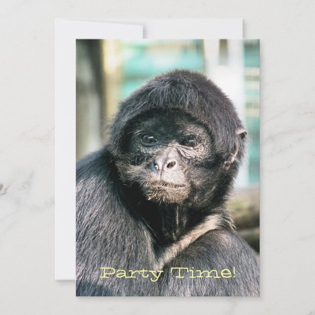 MONKEYS Invitation (Front)
