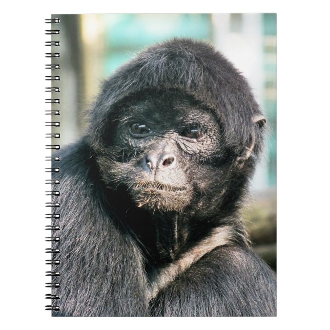 MONKEYS NOTEBOOK (Front)