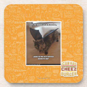 Monkeys on vacation coaster