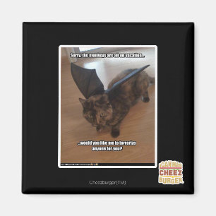 Monkeys on vacation magnet