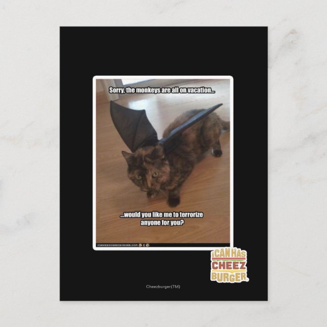 Monkeys on vacation postcard (Front)