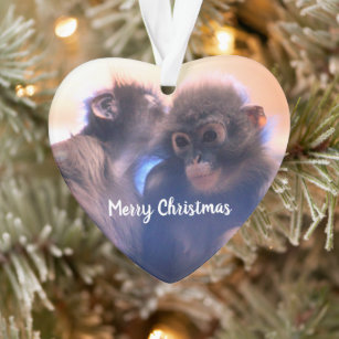 Monkeys Ornament