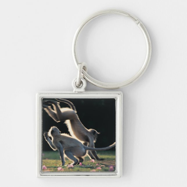 Monkeys playing keychain (Front)
